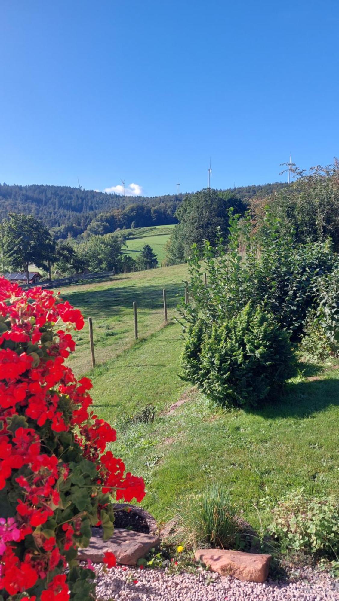 Bergfeldhof Villa Haingrund Eksteriør billede